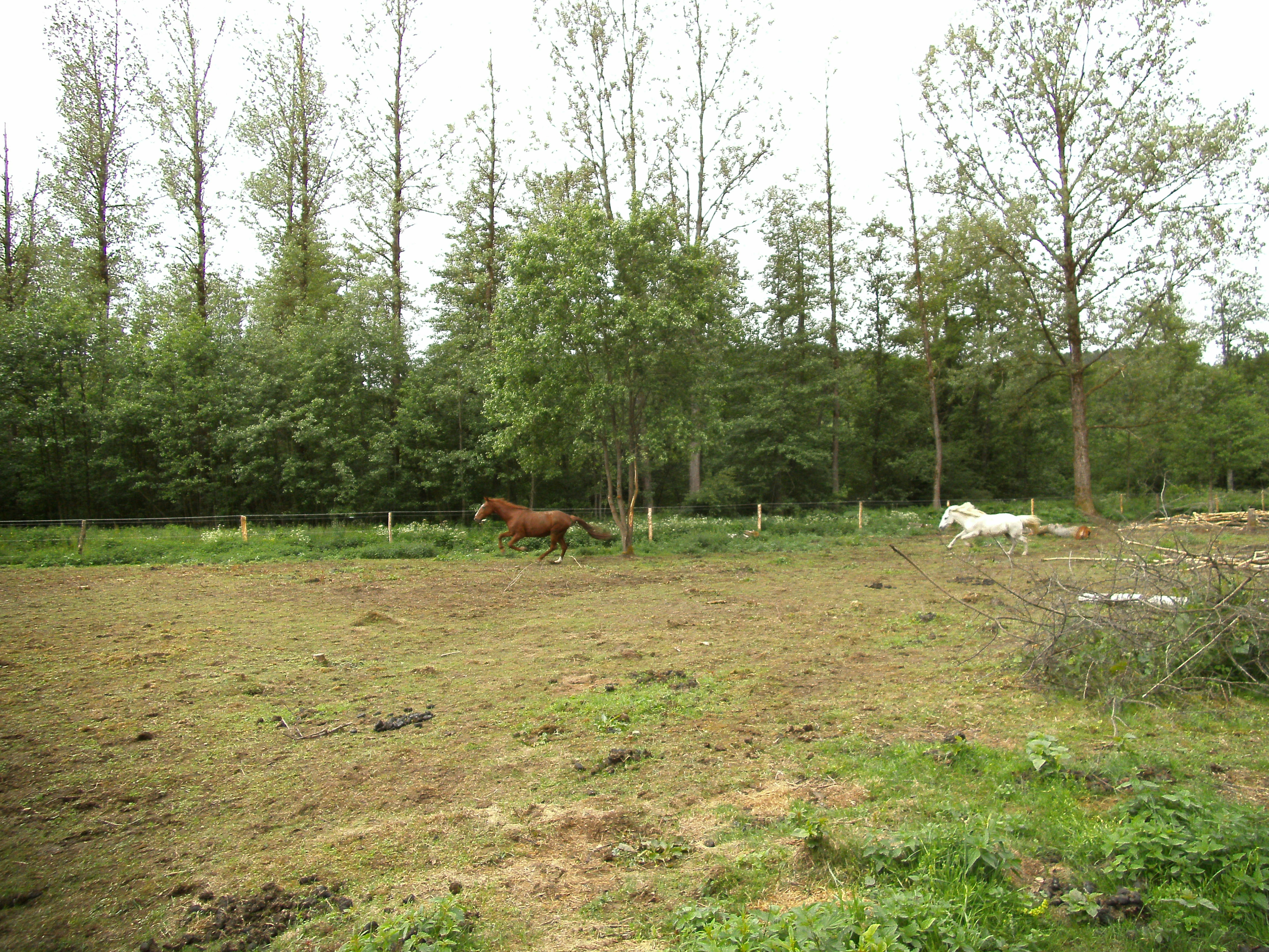 2012