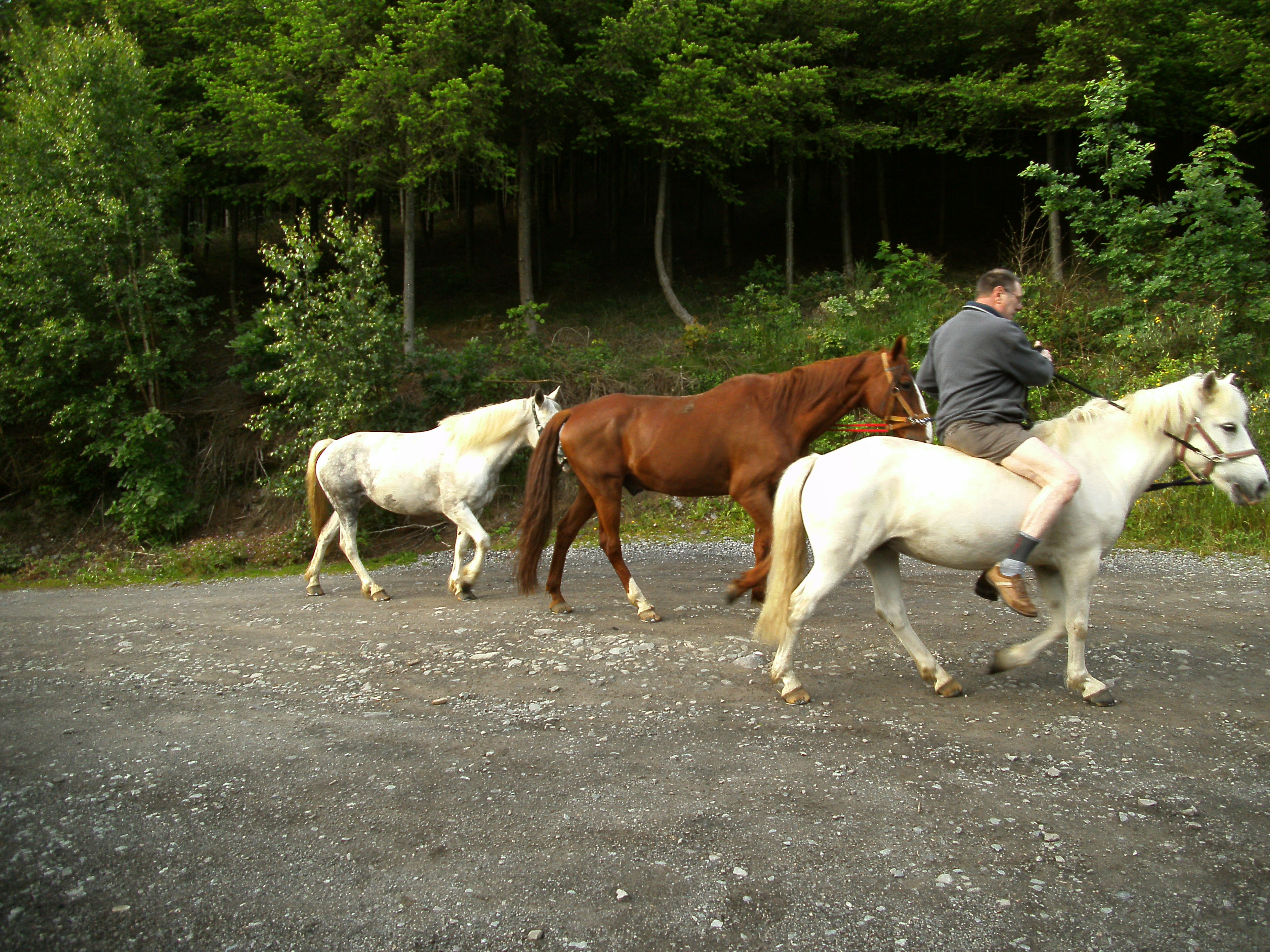 2012