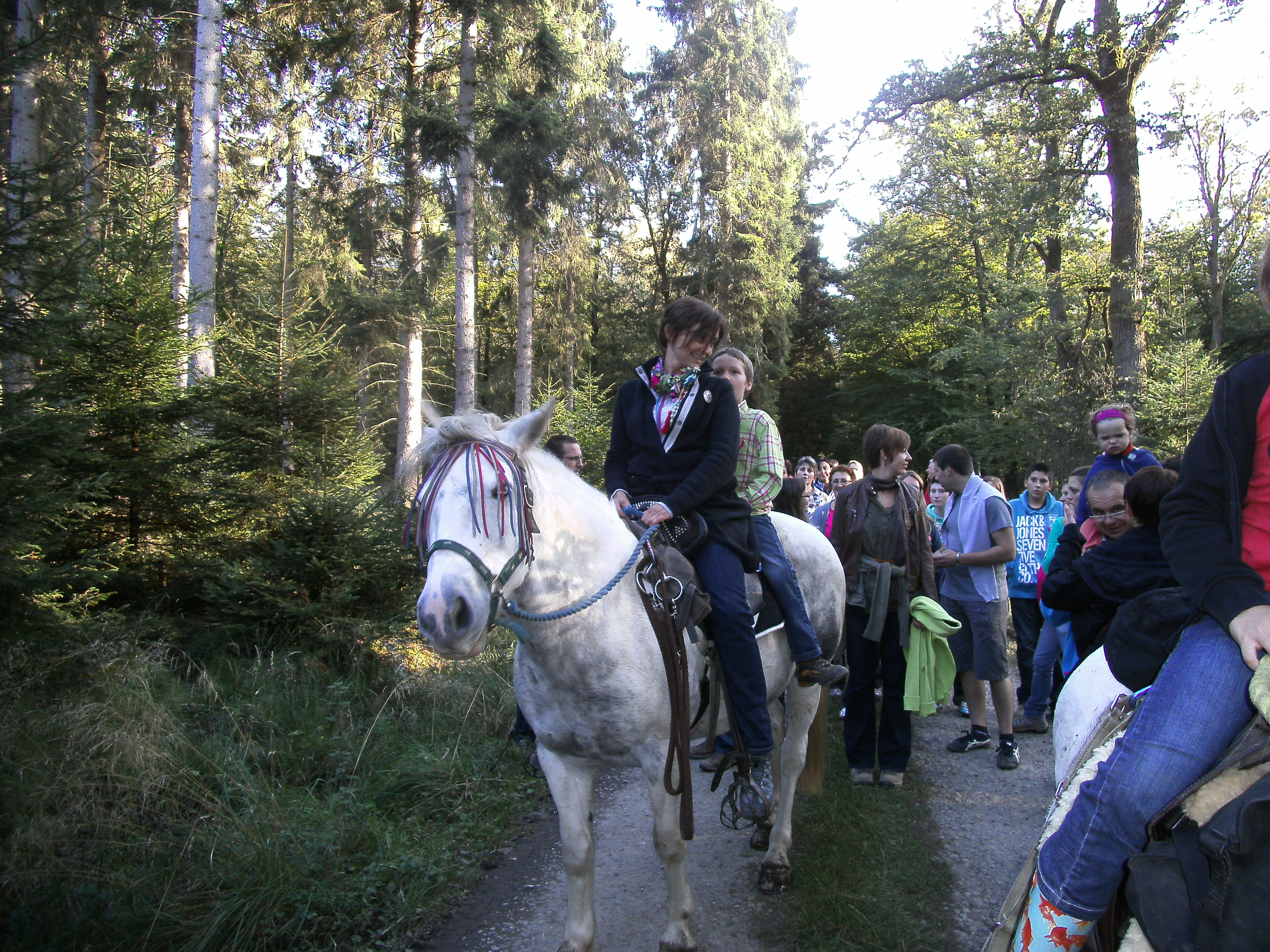 2013
